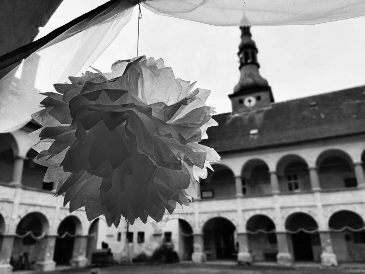 Zámek Ruda nad Moravou Ruda na Moravě Exterior foto
